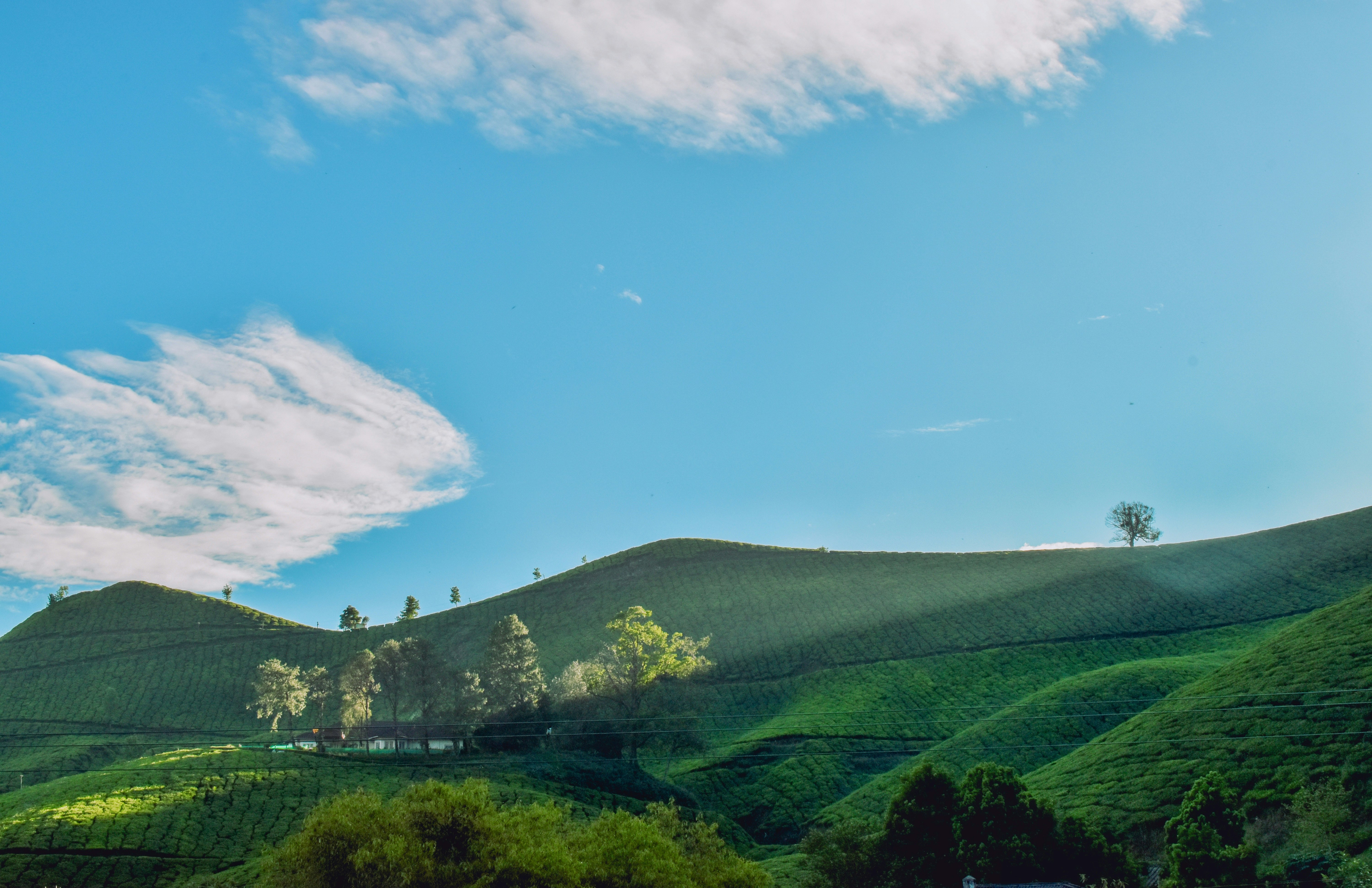 green grass field under blue sky during daytime